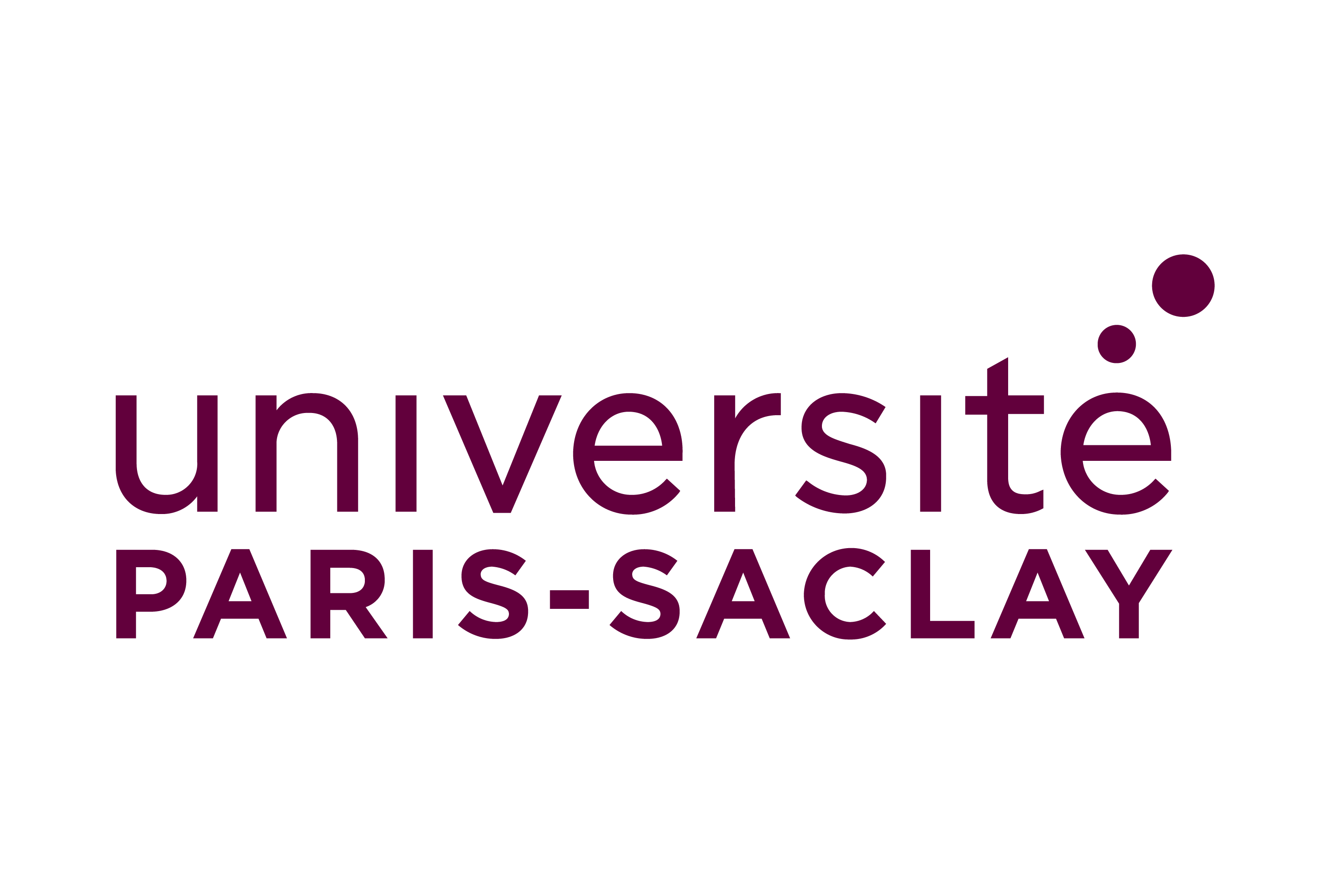 Paris Saclay University